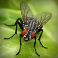 /album/prosezkepa/photolia-a01-jpg/