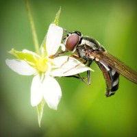 /album/prosezkepa/photolia-a02-jpg/