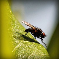 /album/prosezkepa/photolia-a04-jpg/