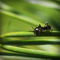 /album/prosezkepa/photolia-a05-jpg/