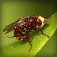 /album/prosezkepa/photolia-a06-jpg/