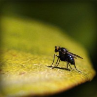 /album/prosezkepa/photolia-a07-jpg/